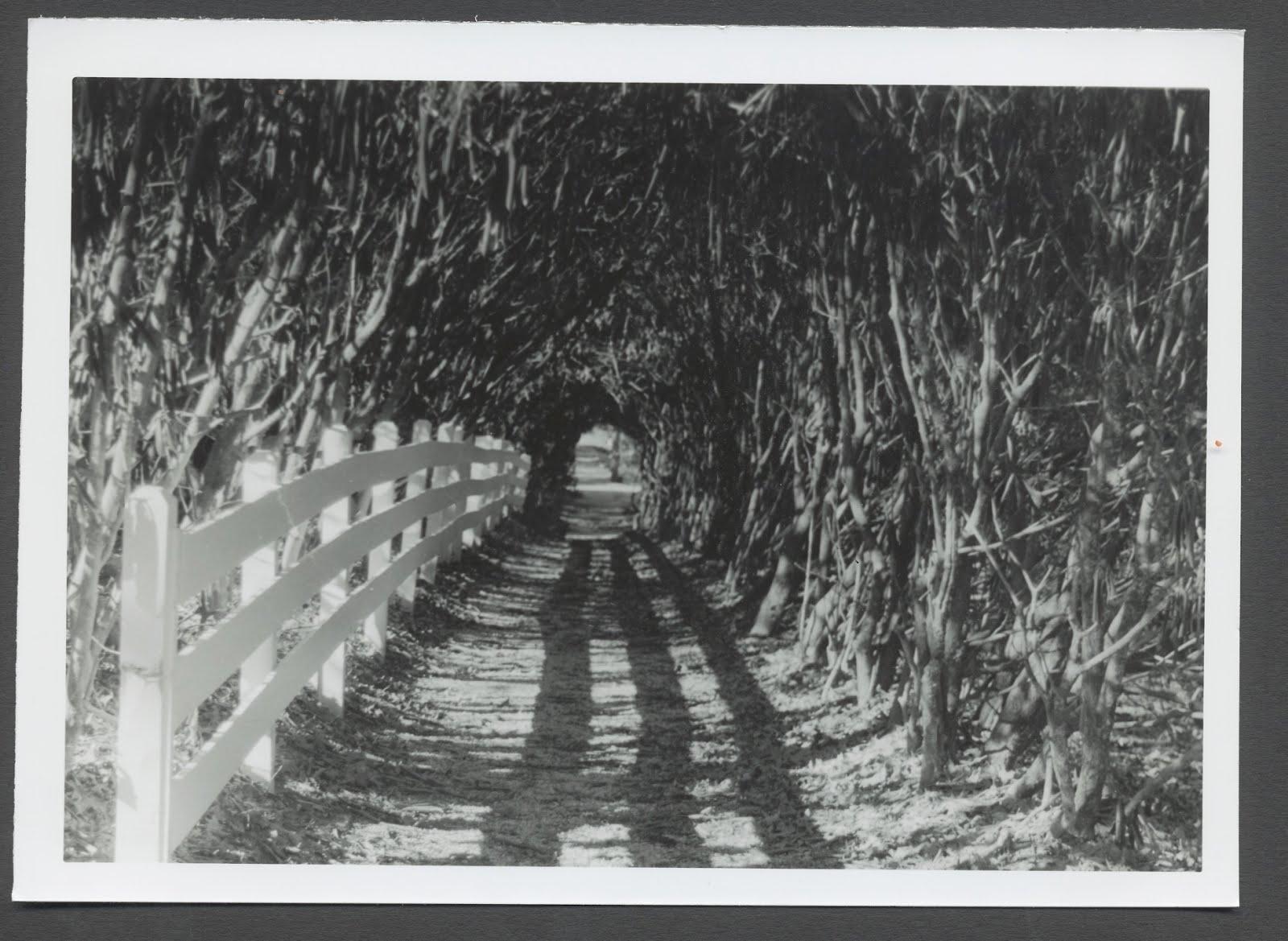 end-of-the-tunnel.jpg