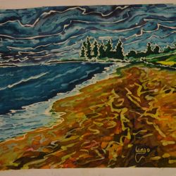 1_Beach-Walk-Reid-State-Park
