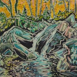 Skinny-Dip-Falls-before-the-flood